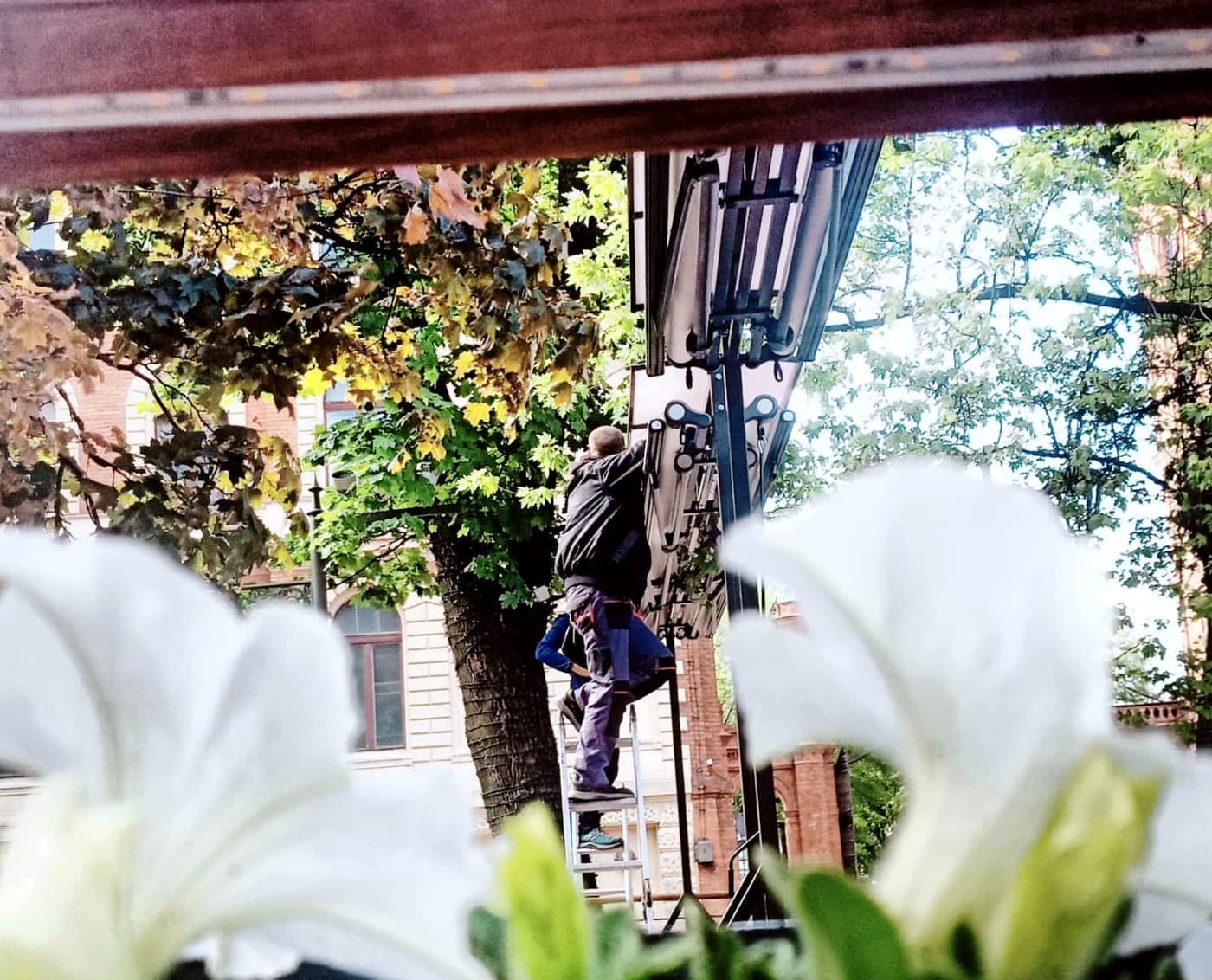 Pracownik na drabinie przy markizie na budynku, latem